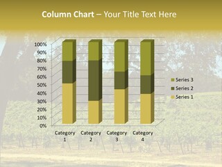 Agriculture Sunlight Wine PowerPoint Template