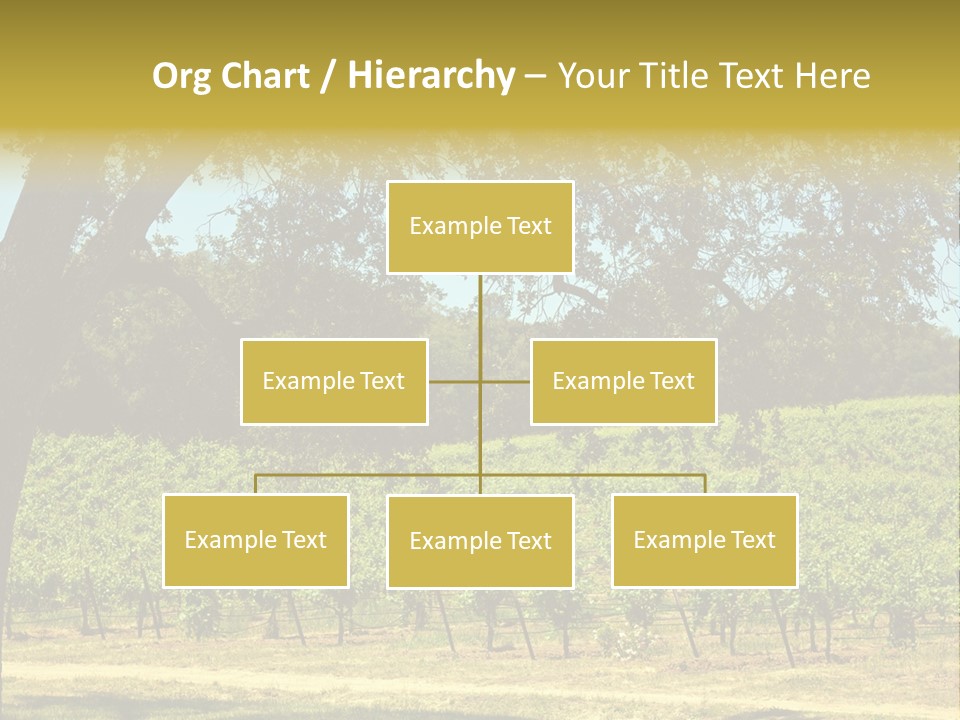 Agriculture Sunlight Wine PowerPoint Template