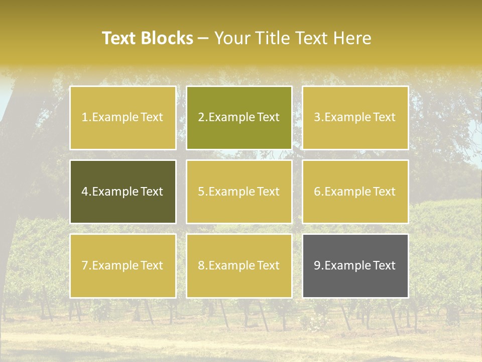 Agriculture Sunlight Wine PowerPoint Template