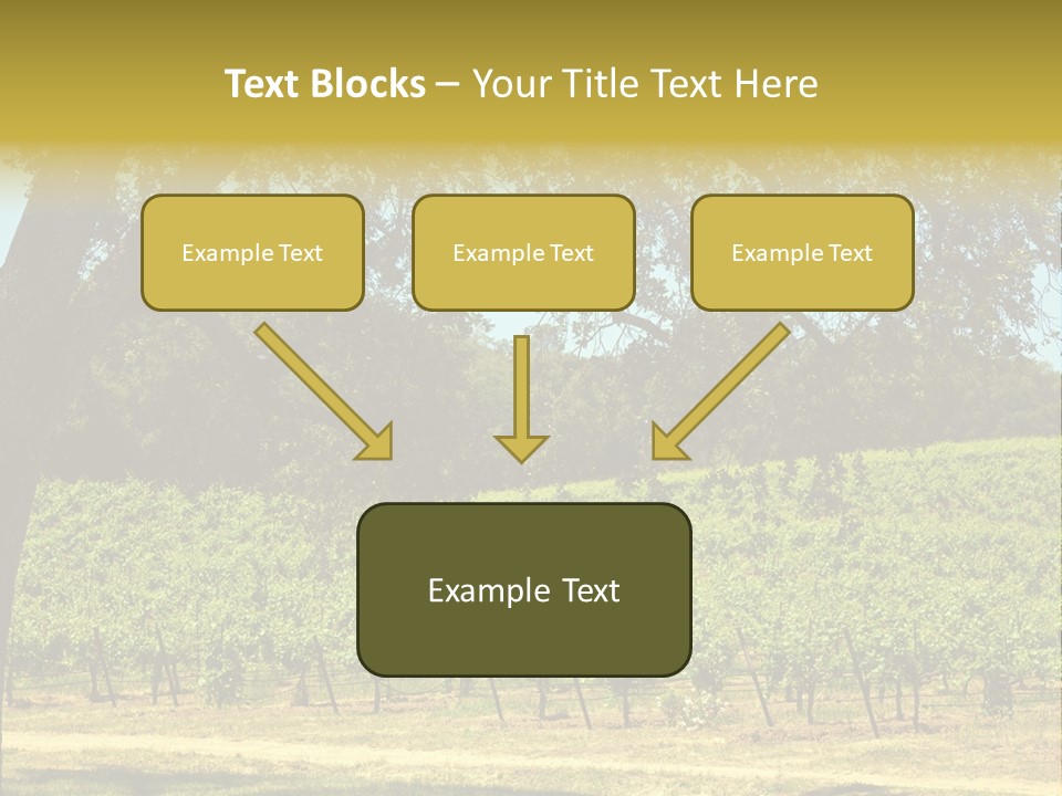Agriculture Sunlight Wine PowerPoint Template