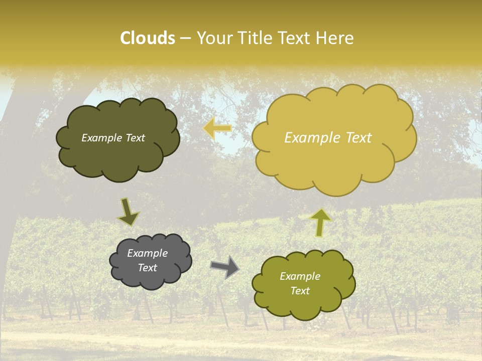 Agriculture Sunlight Wine PowerPoint Template