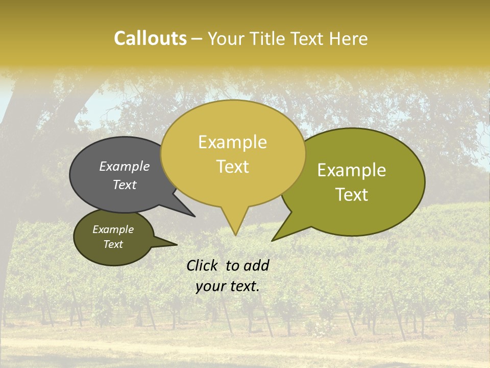 Agriculture Sunlight Wine PowerPoint Template