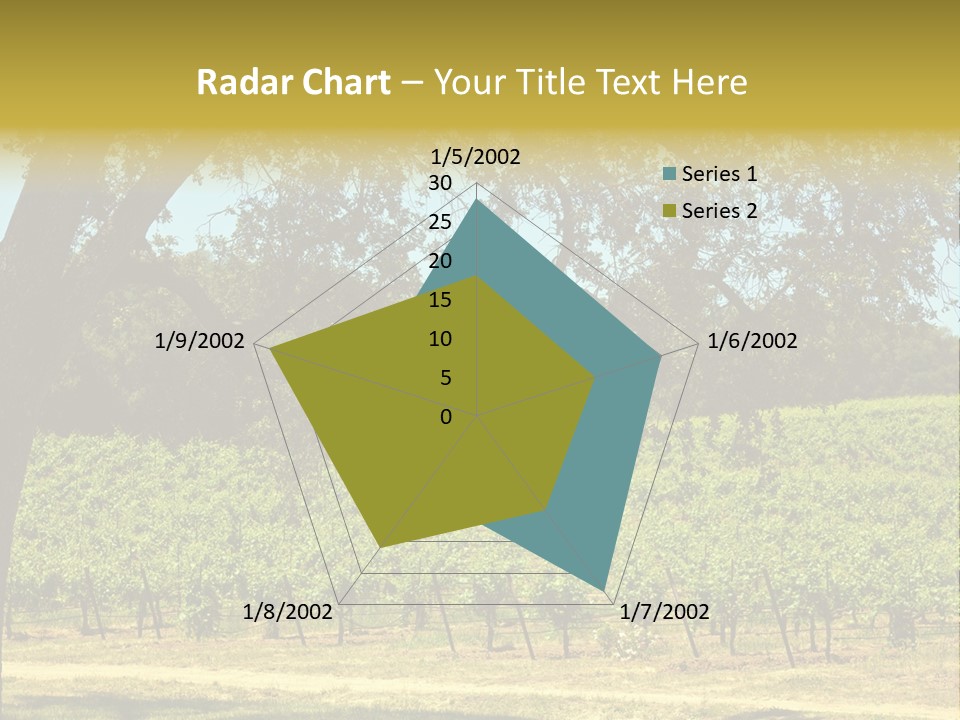 Agriculture Sunlight Wine PowerPoint Template