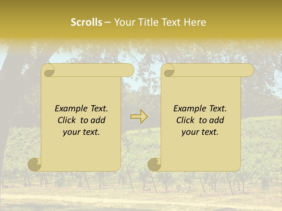 Agriculture Sunlight Wine PowerPoint Template