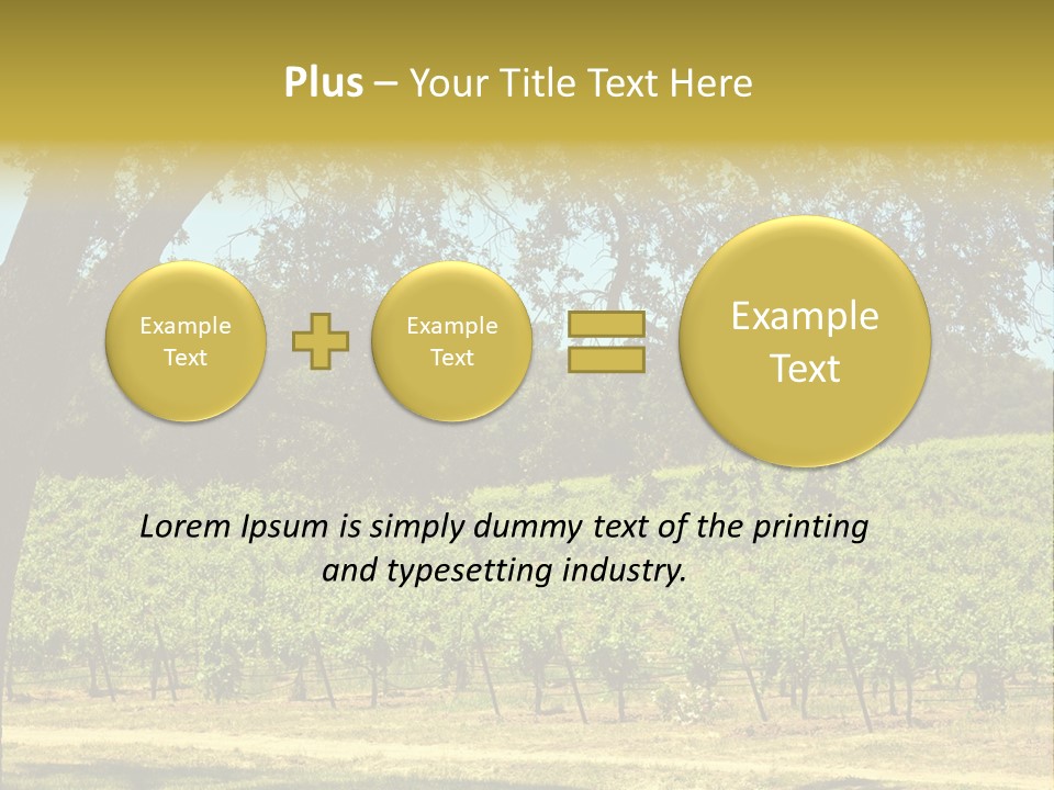 Agriculture Sunlight Wine PowerPoint Template