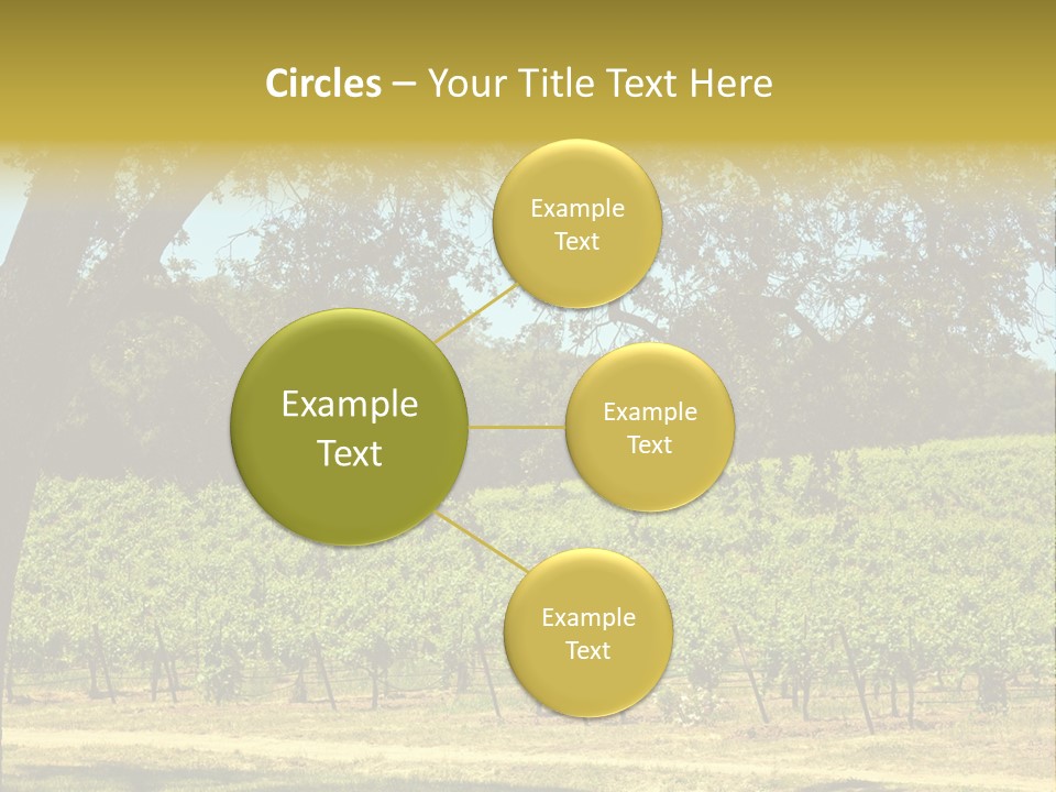 Agriculture Sunlight Wine PowerPoint Template