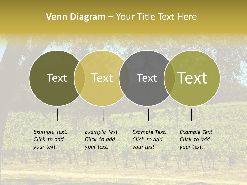 Agriculture Sunlight Wine PowerPoint Template