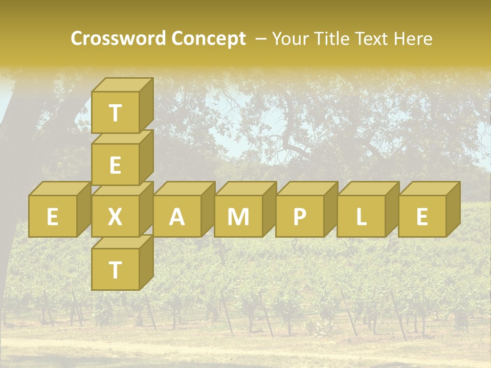 Agriculture Sunlight Wine PowerPoint Template