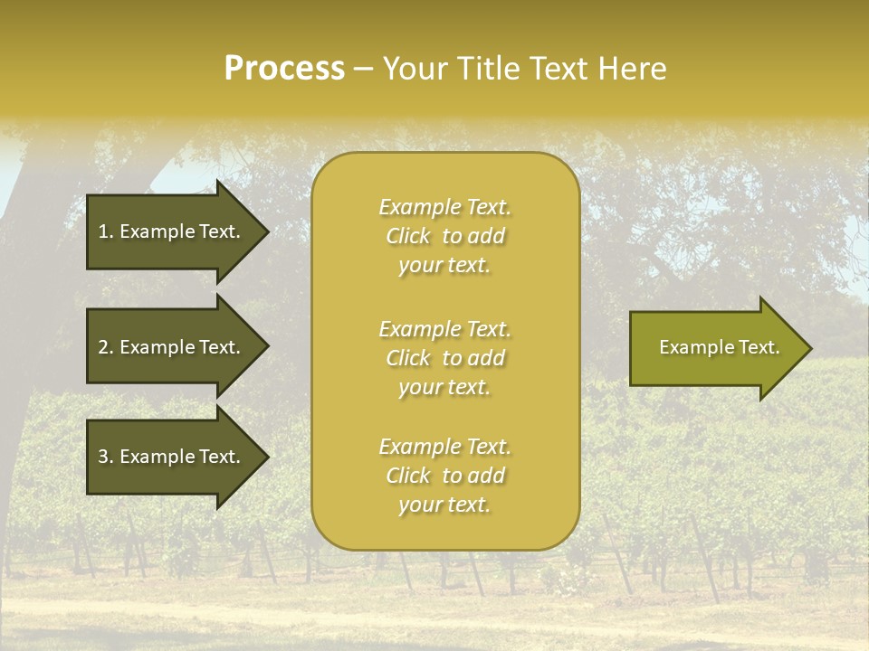 Agriculture Sunlight Wine PowerPoint Template