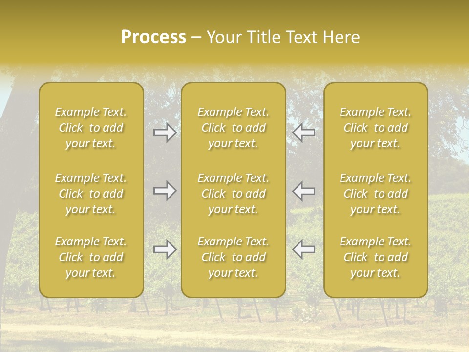 Agriculture Sunlight Wine PowerPoint Template