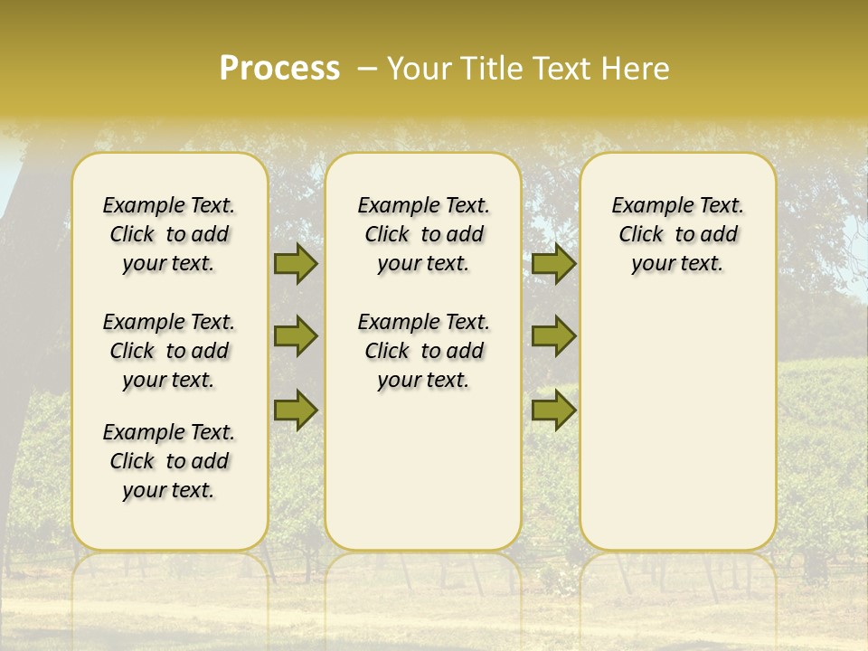 Agriculture Sunlight Wine PowerPoint Template