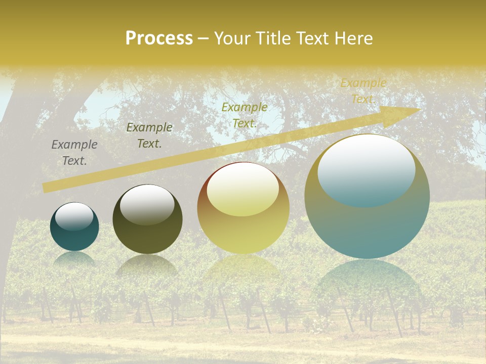 Agriculture Sunlight Wine PowerPoint Template