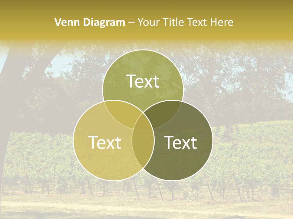 Agriculture Sunlight Wine PowerPoint Template