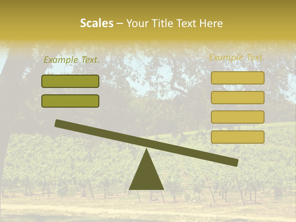 Agriculture Sunlight Wine PowerPoint Template