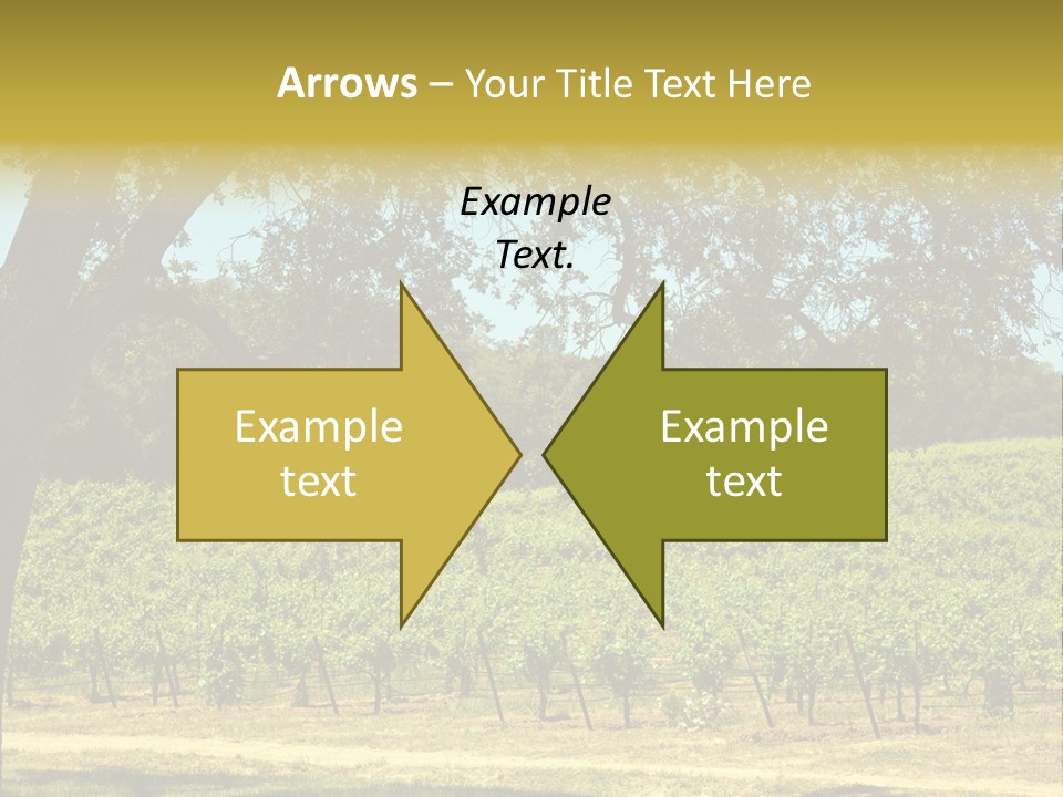 Agriculture Sunlight Wine PowerPoint Template