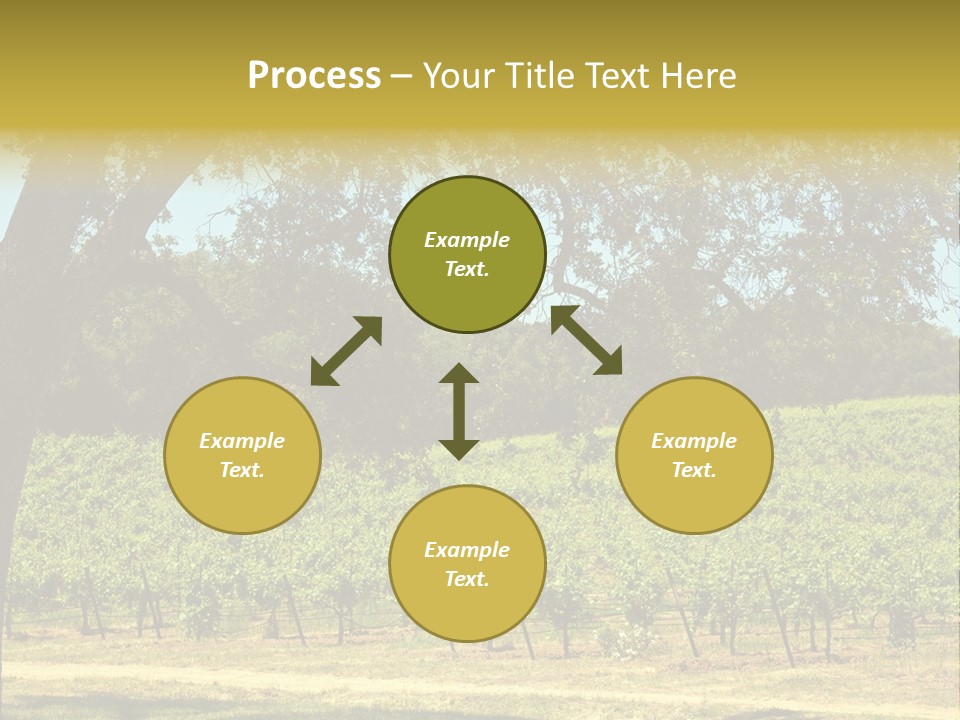 Agriculture Sunlight Wine PowerPoint Template