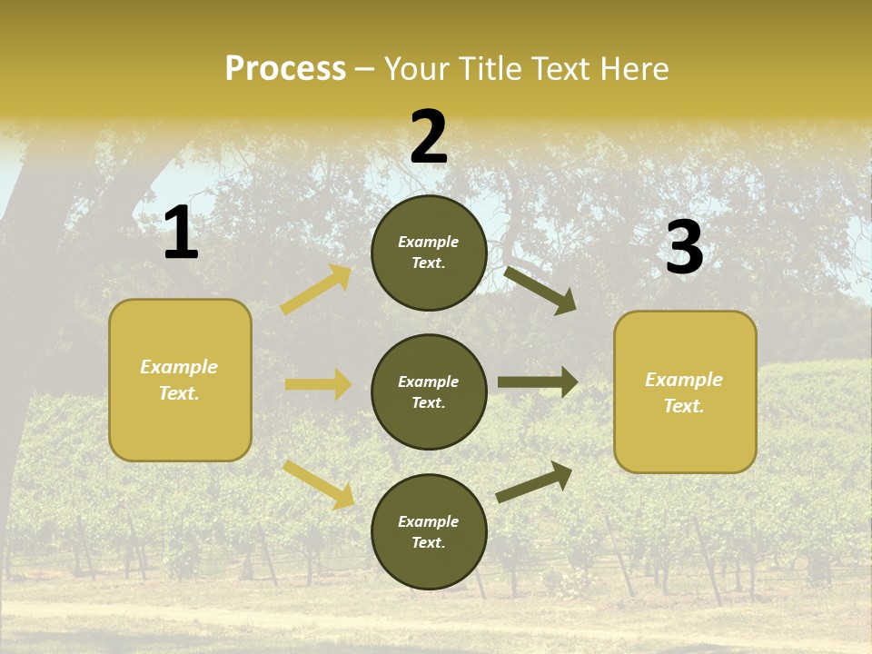 Agriculture Sunlight Wine PowerPoint Template