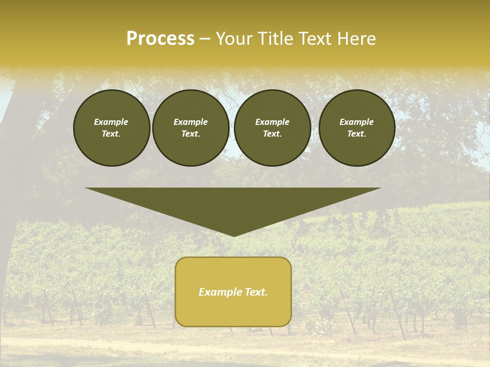 Agriculture Sunlight Wine PowerPoint Template