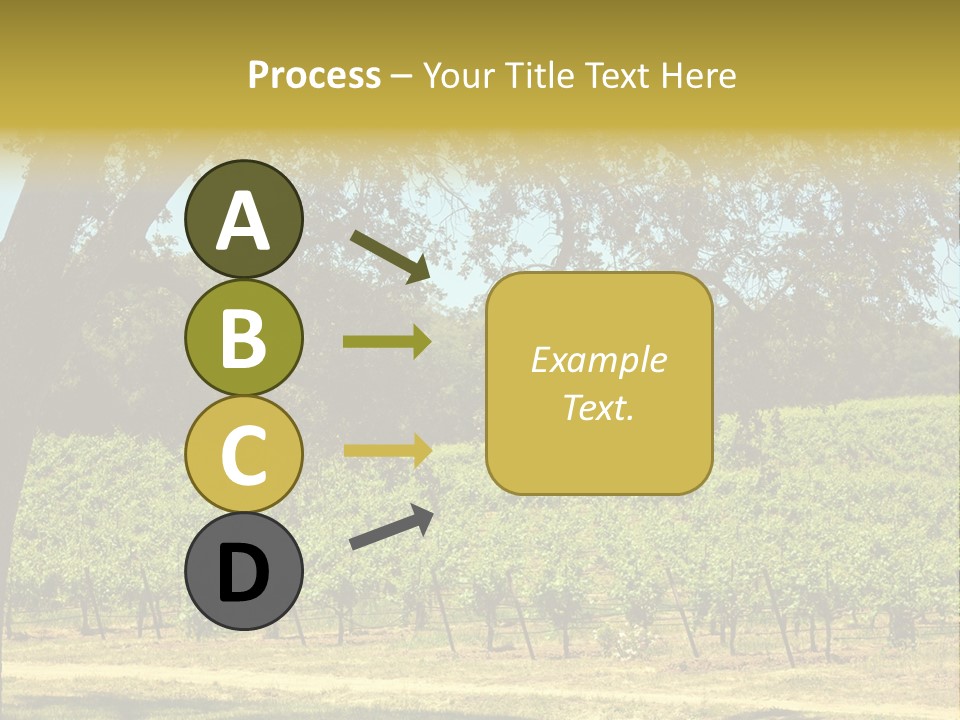 Agriculture Sunlight Wine PowerPoint Template