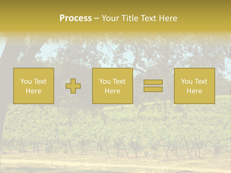 Agriculture Sunlight Wine PowerPoint Template