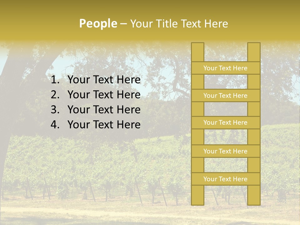 Agriculture Sunlight Wine PowerPoint Template