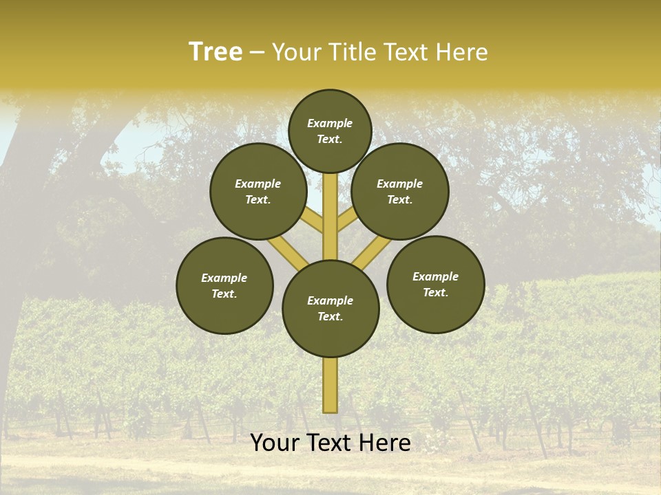 Agriculture Sunlight Wine PowerPoint Template
