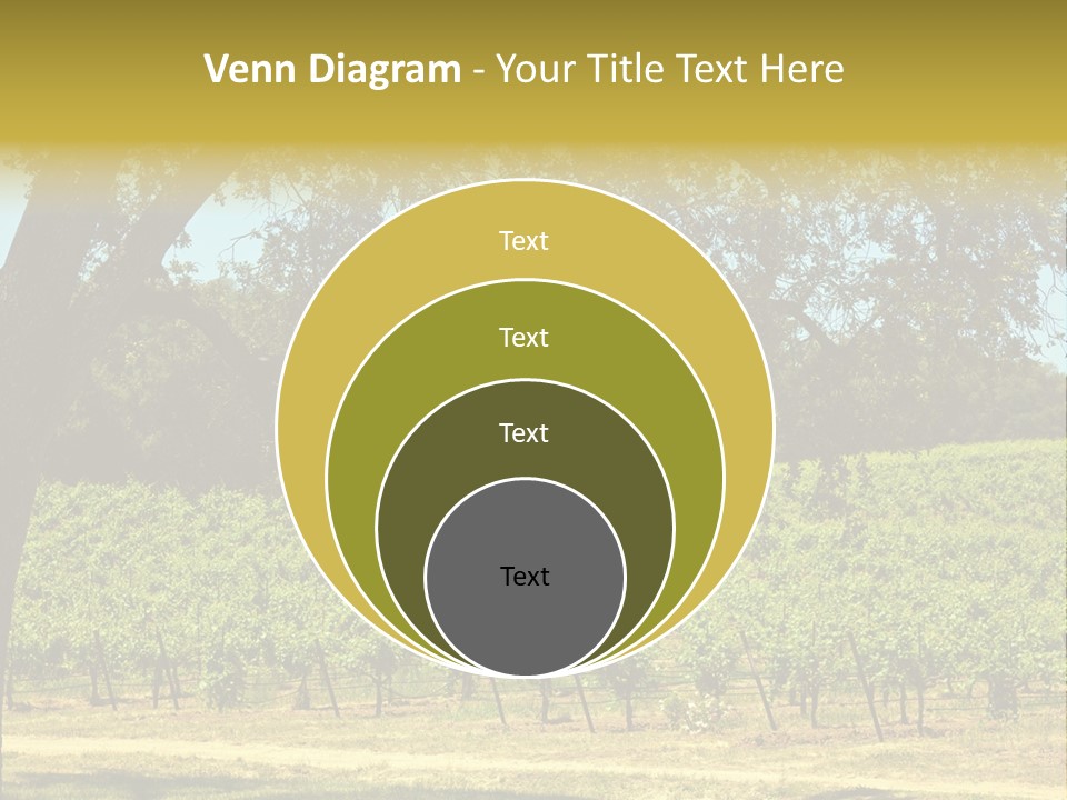 Agriculture Sunlight Wine PowerPoint Template