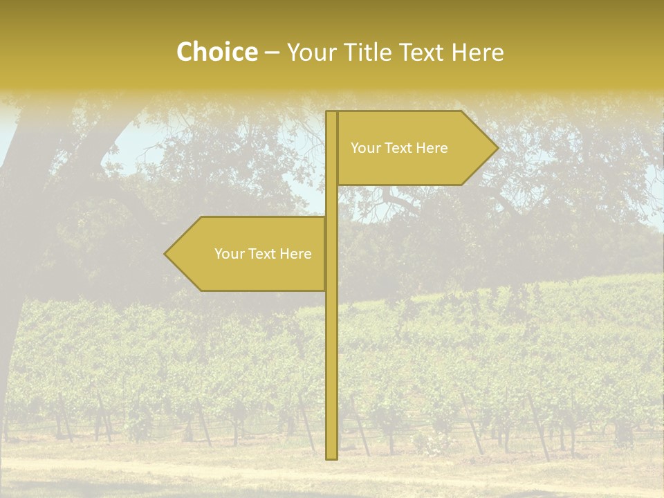 Agriculture Sunlight Wine PowerPoint Template