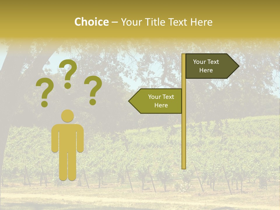 Agriculture Sunlight Wine PowerPoint Template