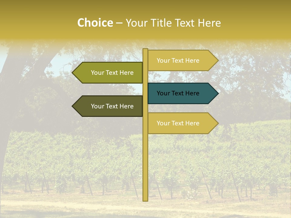 Agriculture Sunlight Wine PowerPoint Template
