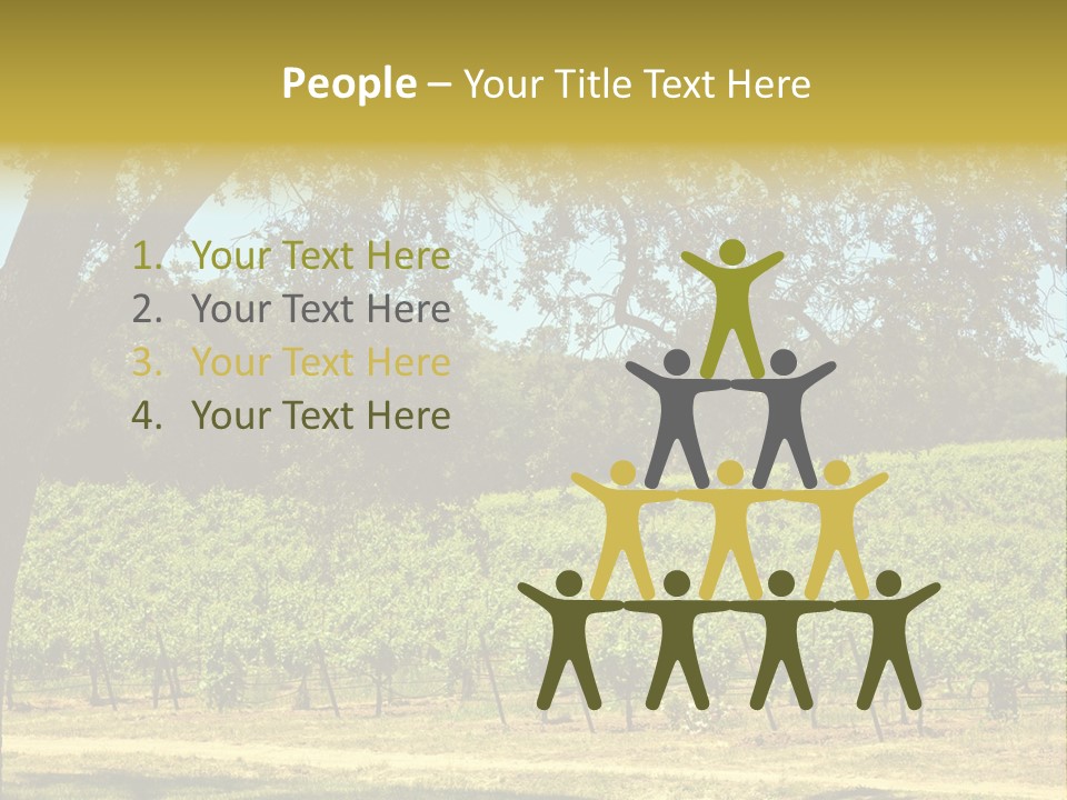 Agriculture Sunlight Wine PowerPoint Template