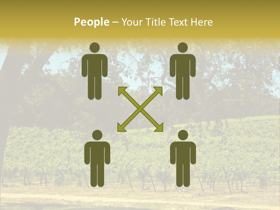 Agriculture Sunlight Wine PowerPoint Template