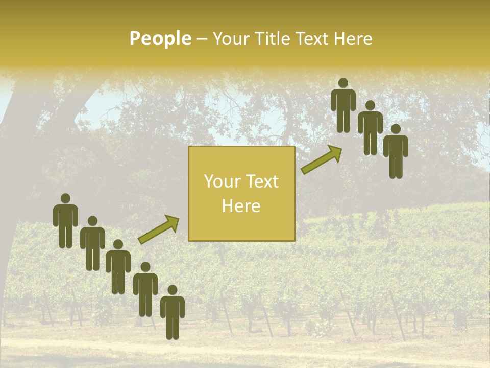 Agriculture Sunlight Wine PowerPoint Template