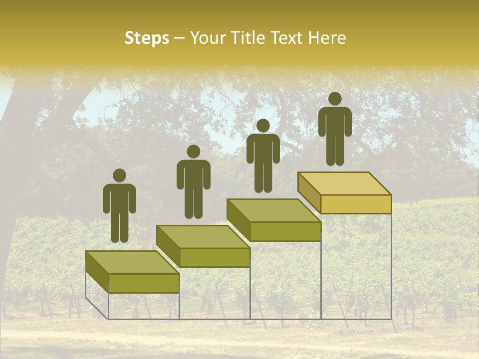 Agriculture Sunlight Wine PowerPoint Template