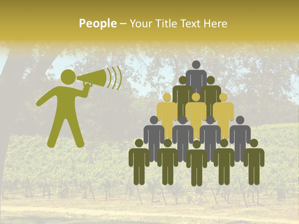 Agriculture Sunlight Wine PowerPoint Template