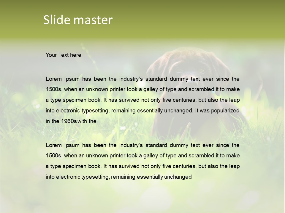 Chocolate Lawn Young PowerPoint Template