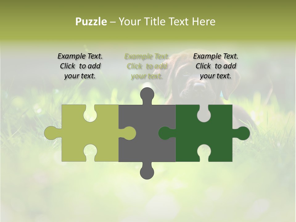 Chocolate Lawn Young PowerPoint Template