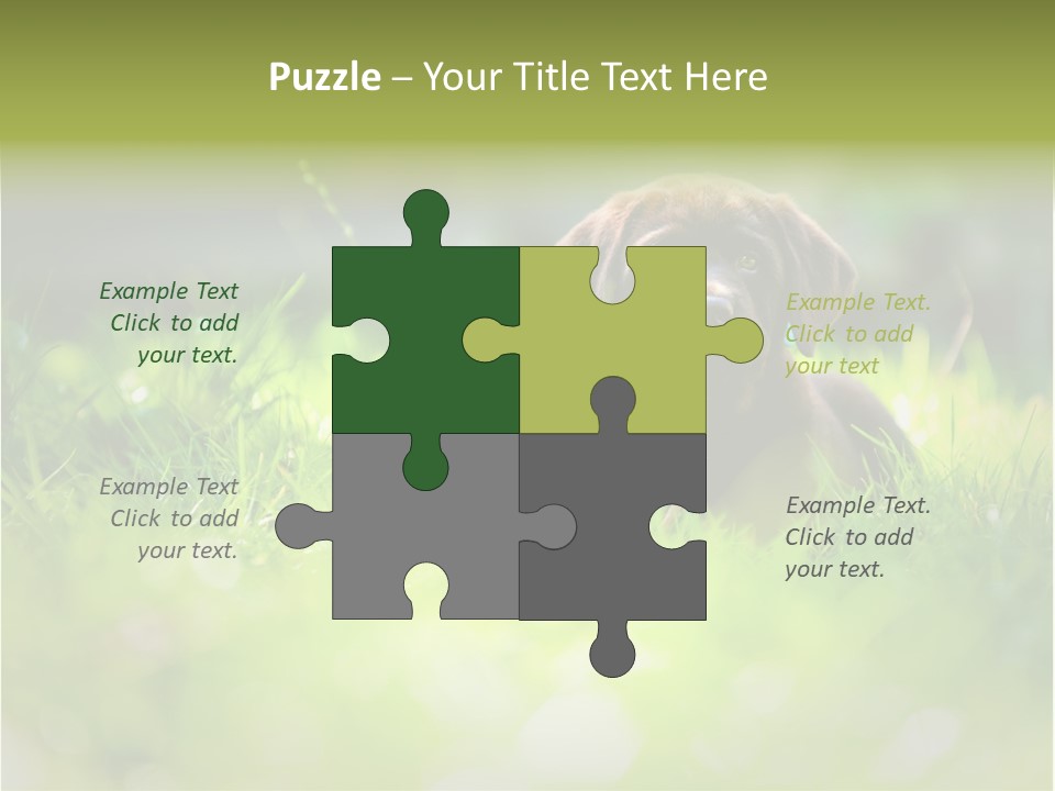 Chocolate Lawn Young PowerPoint Template