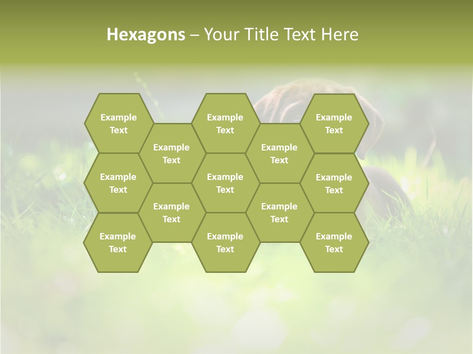 Chocolate Lawn Young PowerPoint Template