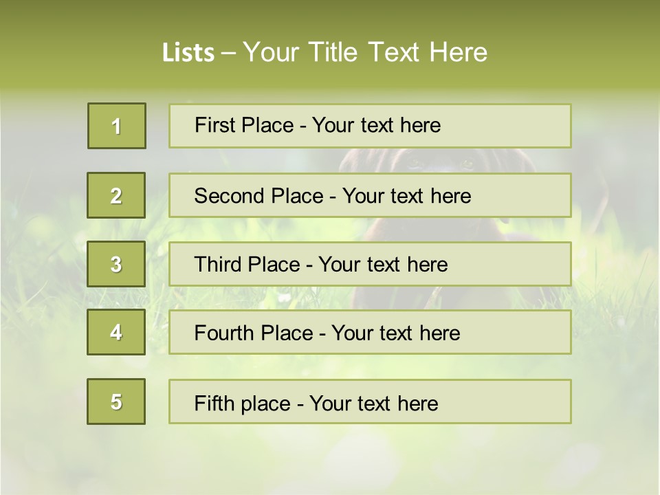Chocolate Lawn Young PowerPoint Template