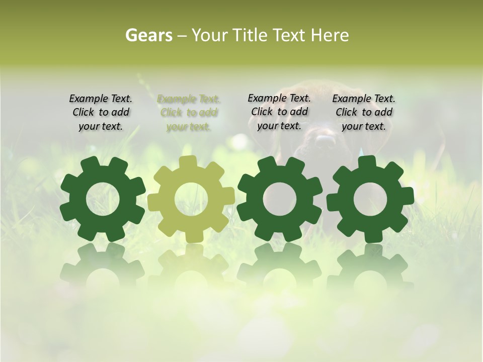 Chocolate Lawn Young PowerPoint Template