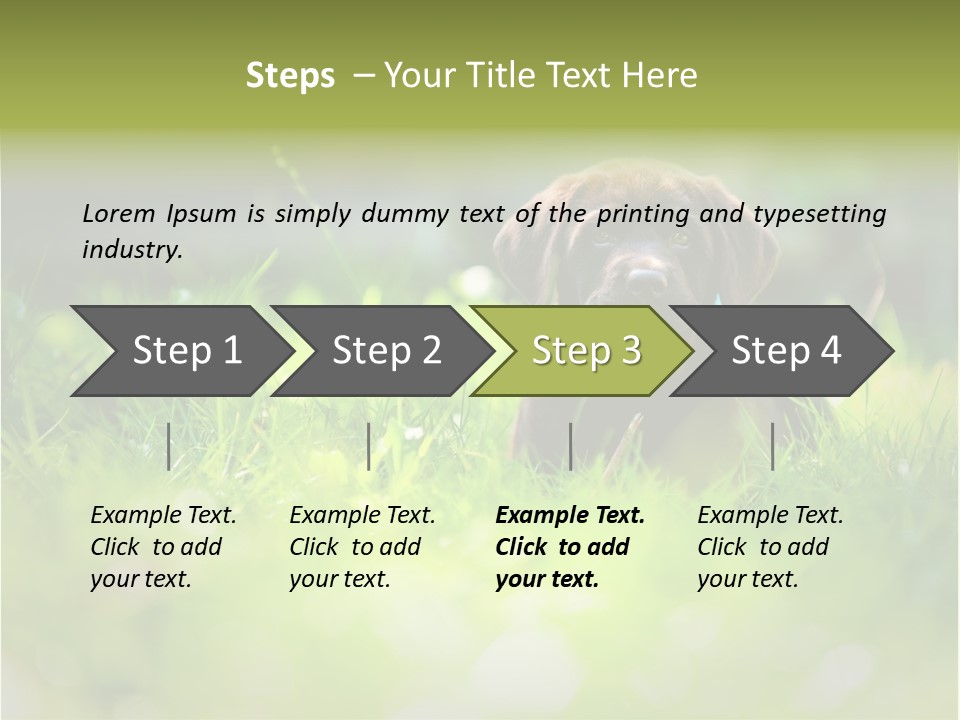 Chocolate Lawn Young PowerPoint Template