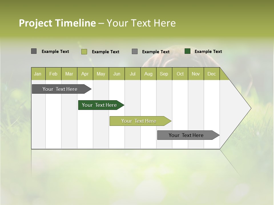 Chocolate Lawn Young PowerPoint Template