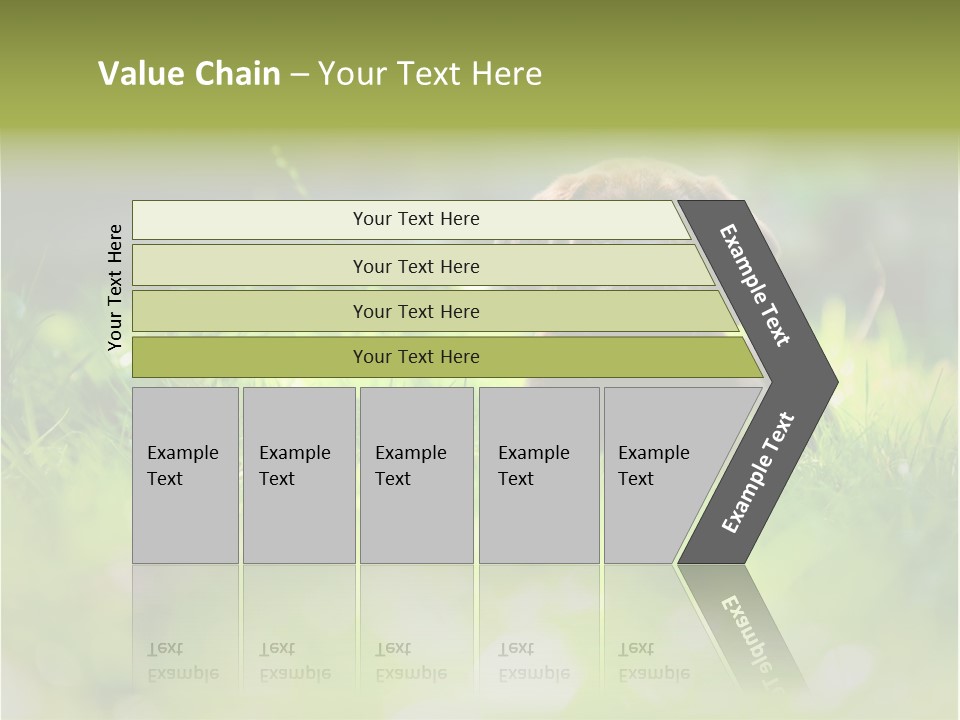 Chocolate Lawn Young PowerPoint Template