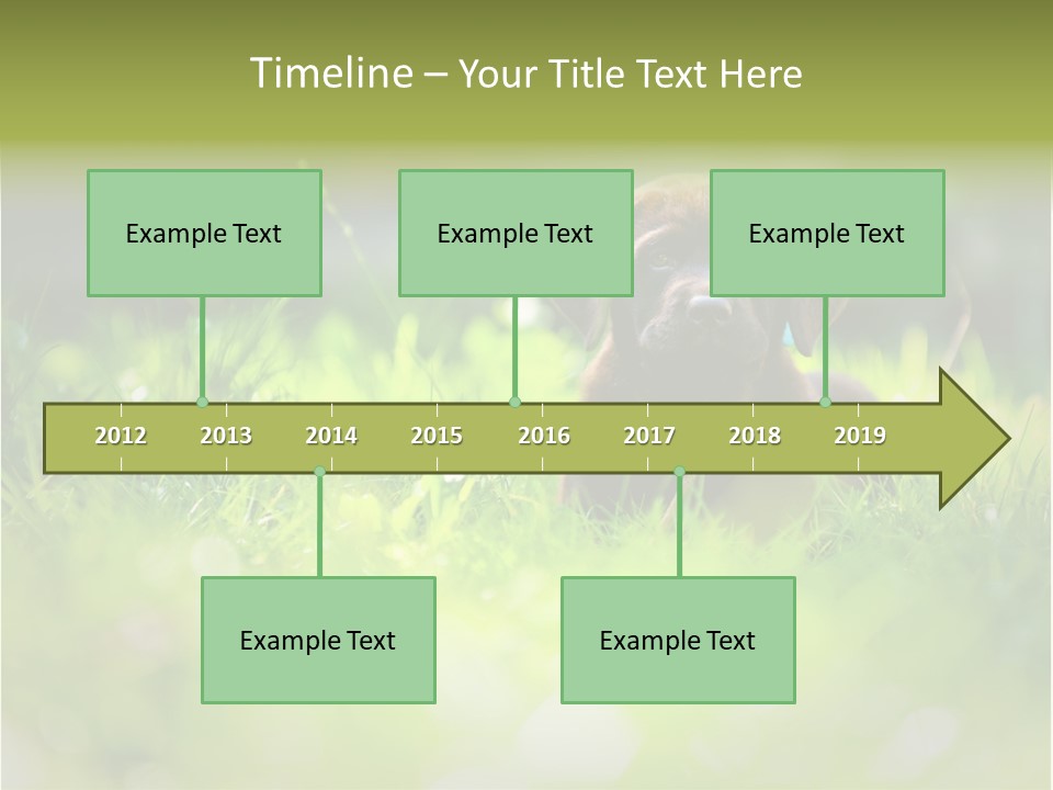 Chocolate Lawn Young PowerPoint Template