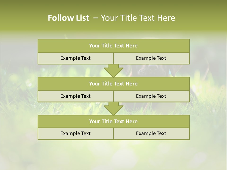 Chocolate Lawn Young PowerPoint Template