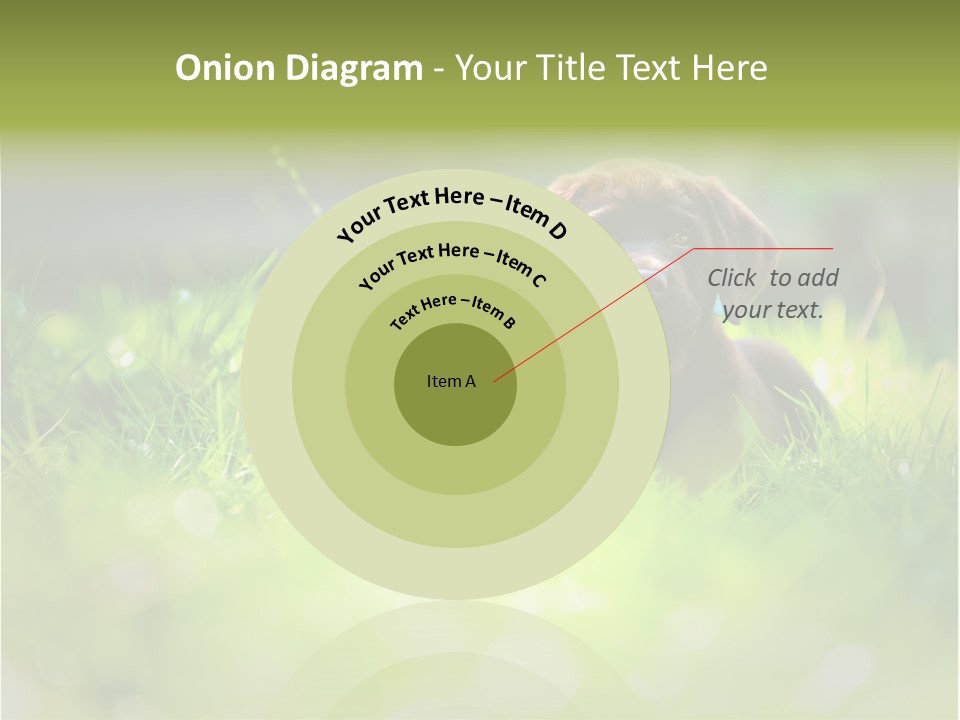 Chocolate Lawn Young PowerPoint Template