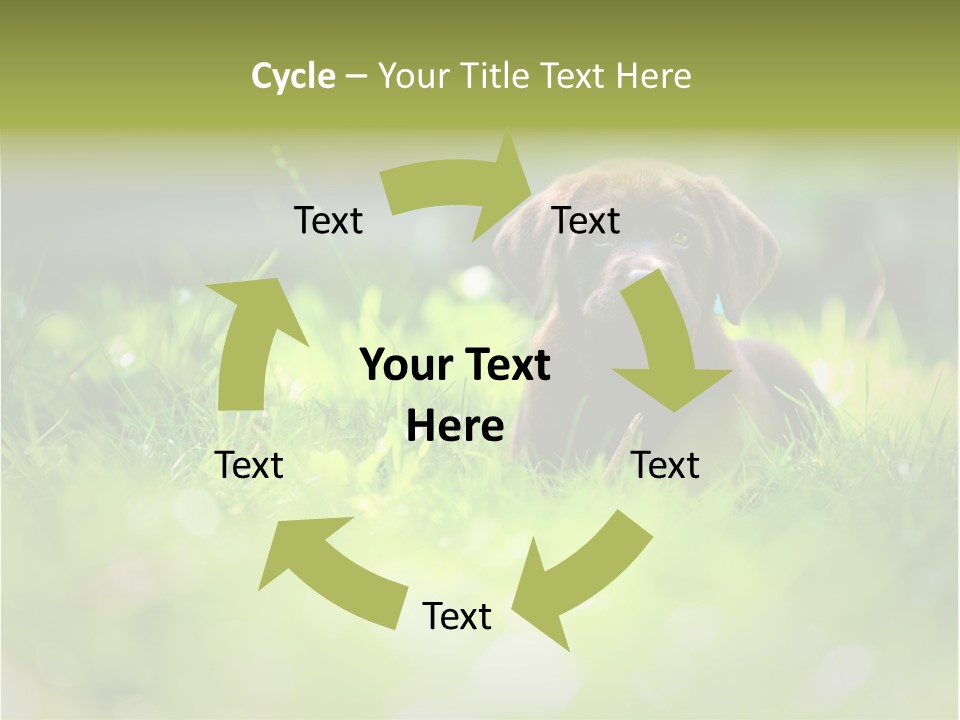 Chocolate Lawn Young PowerPoint Template