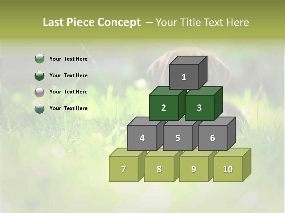 Chocolate Lawn Young PowerPoint Template