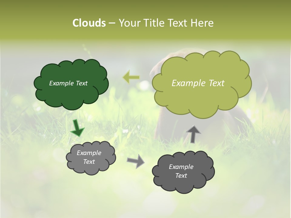 Chocolate Lawn Young PowerPoint Template